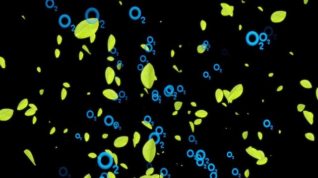 Animated video showing oxygen and leaves floating in the air. Eco-friendly content, planting trees.