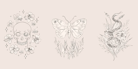Skull butterfly and snake illustration triptych with floral ornamentation © Ganesh