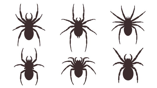Collection of six black spider silhouettes on a white background, representing different poses and styles.