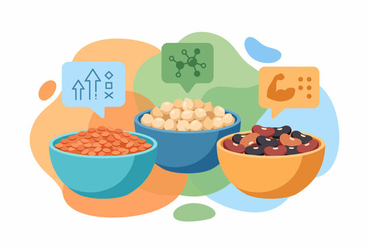 Nutritional Value of Legumes and Pulses Infographic