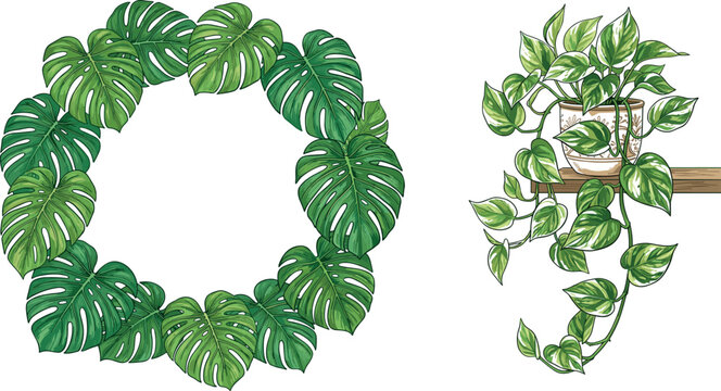 Tropical green monstera leaf wreath border frame and hanging pothos houseplant in ceramic pot on wooden shelf vector illustration elements set