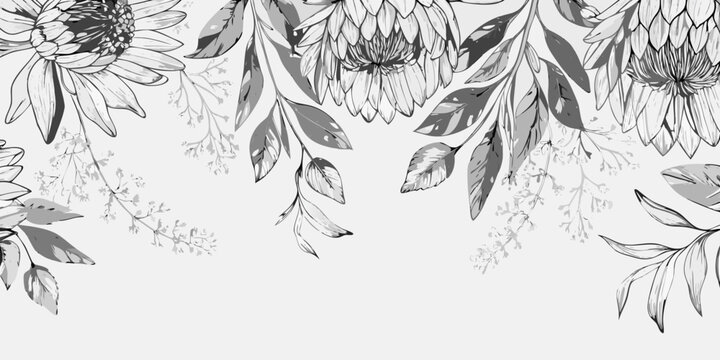 Protea And Foliage Floral Ornament Black And White Vector Illustration