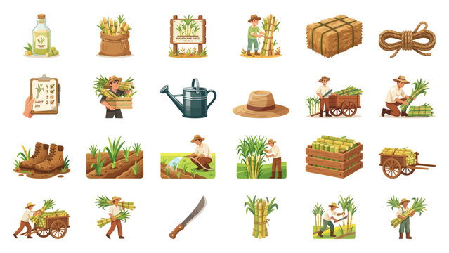 Sugarcane Farming and Harvest Collection Icons