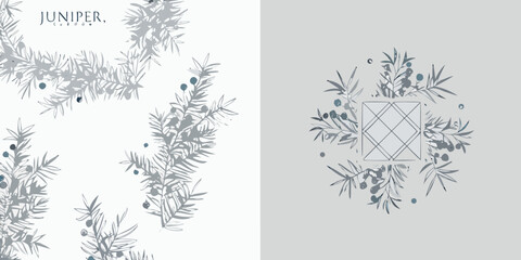 Juniper branch and berry illustration with geometric frame gray tones © Poly