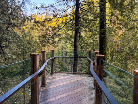 Wooden viewing deck with glass railings in Capilano River Regional Park forest, Vancouver