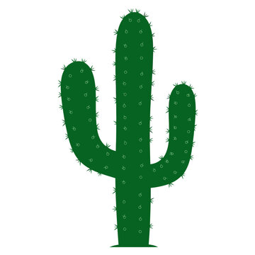 Green Cactus Plant with Sharp Spines.