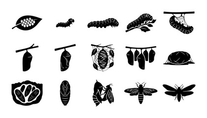 Black butterfly life cycle icons, 15 insect metamorphosis vector elements, caterpillar and cocoon silhouette set, moth development stages © Asset Aura