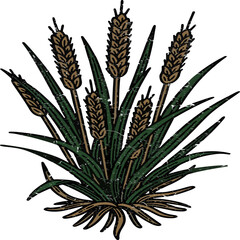 Fototapeta premium Isolated aloe vera plant with green leaves and flower, natural herbal medicine plant on white background