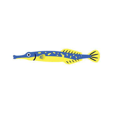 Cute needlefish cartoon character vector illustration. Flat slender long tom, pipefish, or garfish tropical marine icon isolated on white background