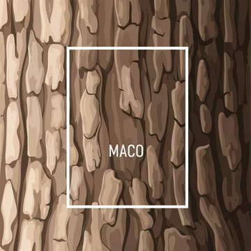 Detailed vector illustration of stylized tree bark texture featuring vertical ridges and deep furrows in shades of brown and tan with a central white square frame overlay.