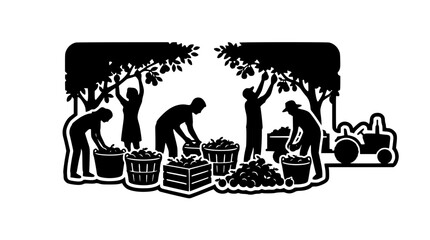 Fototapeta premium Silhouetted farm workers harvesting fruit in an orchard with tractor