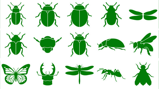 Comprehensive collection of green insect silhouettes including beetles butterflies and ants for biological design themes