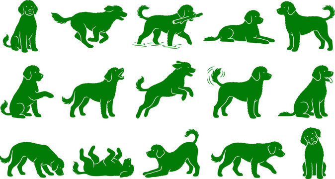 Domestic dog silhouette set showing green canine poses for pet care and veterinary branding graphics