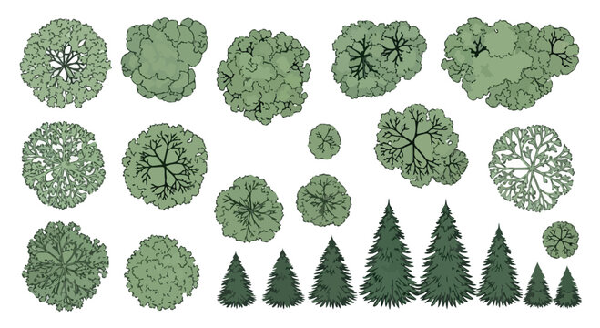 Architectural tree symbols for landscape design, 20 green plant icons in top view and elevation, hand drawn vector set for site plans and garden mapping