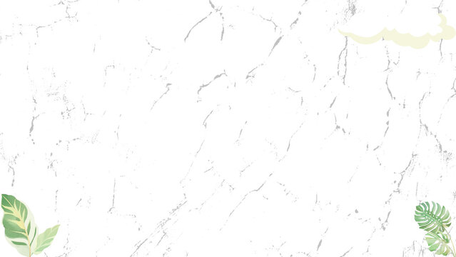 Clean white marble texture with subtle leaves and clouds