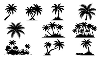 Black silhouette set of tropical palm trees in various shapes on white background © SobujChandra