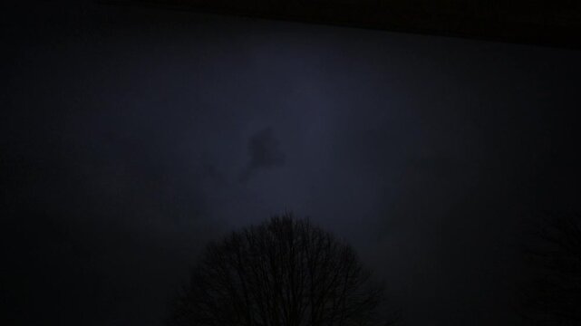 Stormy sky. A lot of Flashing lightening of thunderstorm strike the sky above trees