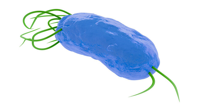 Blue bacterium with green flagella, isolated on transparent background