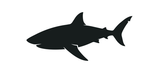 Obraz premium Silhouette of a Great White Shark swimming in the ocean.