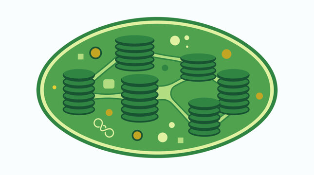 Stacks of Digital Cryptocurrency Coins on Circuit.