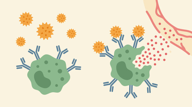 Virus Particle Interacting With Antibodies And Antigens.