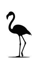Obraz premium Silhouette of a Flamingo Standing Gracefully.