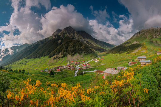 Untitled design Vibrant Yellow Rhododendron Flowers Framing a Remote Alpine Village with Rushing Stream Beneath Dramatic Cloud-Capped Peaks

