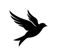Fototapeta premium Silhouette of a bird in flight with wings spread.