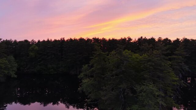 Drone view of vibrant pink and orange sunset sky over vast dark forest canopy and lake in Harold Parker State Forest, Massachusetts