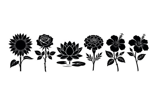 Beautiful Flower Silhouette Vector Set - Rose, Sunflower, Lotus, Hibiscus, Marigold.eps
