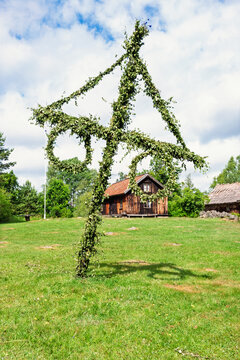 Maypole on a lawn by old wooden croft a sunny summer day