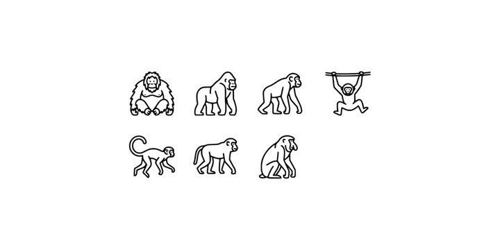 Icon set collection of various primate species including monkeys, apes, and gorillas depicted in simple minimalist line style.