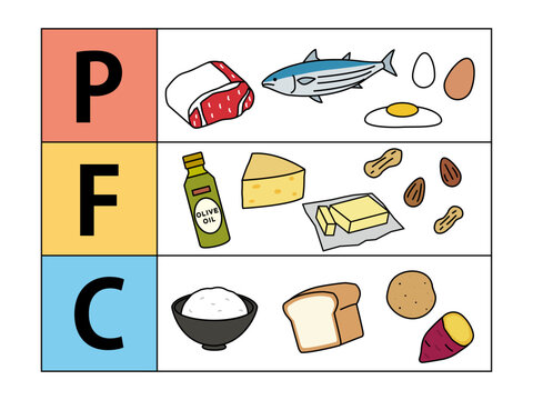 PFCバランス3大栄養素のイラスト