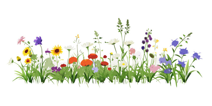 Colorful wildflower meadow border with green grass, vector