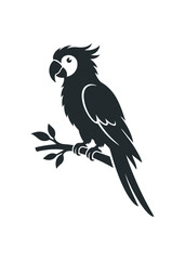 Obraz premium Silhouette of a Parrot Perched on a Branch.