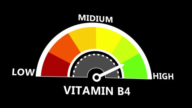 Vitamin B4 Health Gauge Animation with Nutritional Monitoring Indicator and Wellness Assessment Display on Black Background 4k animation video