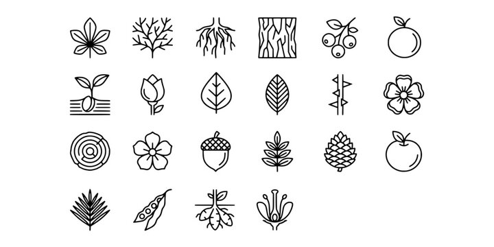 Icon set collection of various botanical elements, leaves, trees, flowers, and plant roots, represented with a clean line art style.