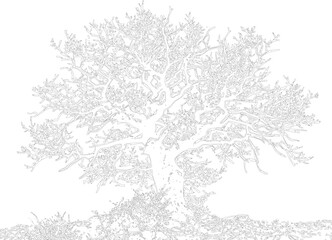 Fototapeta premium Abstract doodle art of leafless tree branches intricate sketchy illustration with organic lines on transparent background