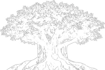 Obraz premium Detailed outline of mature tree with expansive crown and gnarled roots, symmetrical branching, elegant natural form, graphic