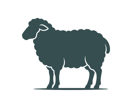 Silhouette of a fluffy sheep standing profile view.