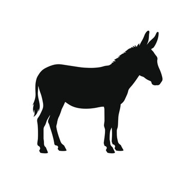 Silhouette of a Standing Donkey Side Profile.