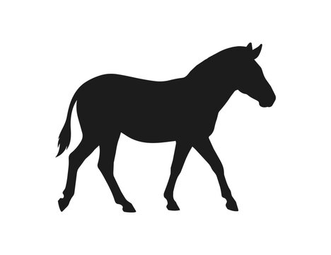 Silhouette of a walking zebra in profile view.