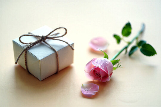 Beautifully wrapped gift box with twine and delicate pink rose flower petals on a soft background