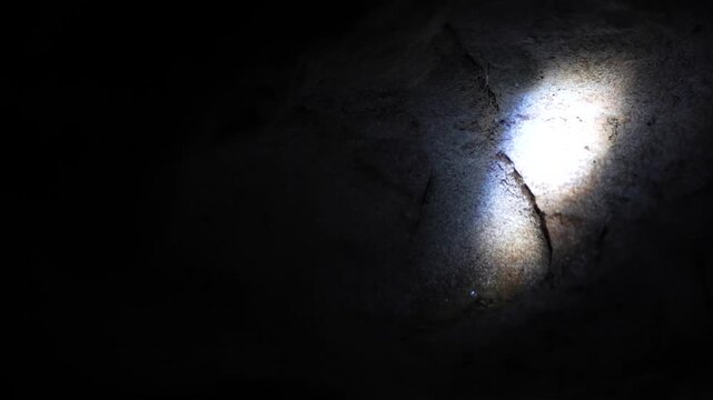 Torch showing New Zealand bioluminescent glowworm in the dark in Waitomo Caves, Waikato region, New Zealand, medium shot