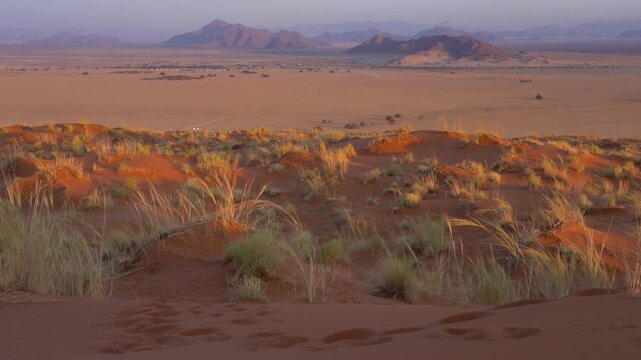 View of Sesriem at sunset from the top of the Elim dune in Namibia in Africa.