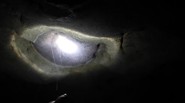 Light illuminating a limestone cave formation inside Waitomo Cave, with bioluminescent glowworm habitat and dark underground atmosphere in New Zealand.