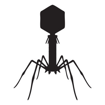 Bacteriophage T2 Virus Black Silhouette