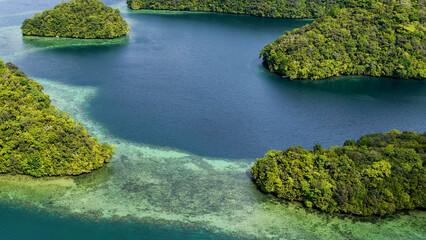 Fototapeta premium Aerial View of Lush Rock Islands and Coral Reefs in Palau