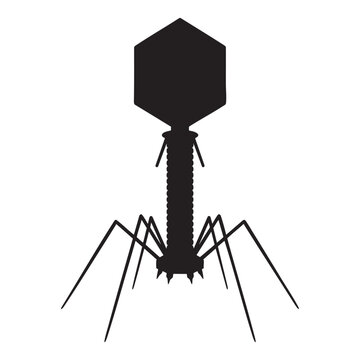 Bacteriophage T2 Virus Black Silhouette