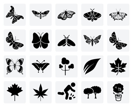 Famous And Striking Lepidoptera &ndash; Deaths-Head Hawk Moth, Monarch Butterfly, And Atlas Moth For Compelling Visual Storytelling